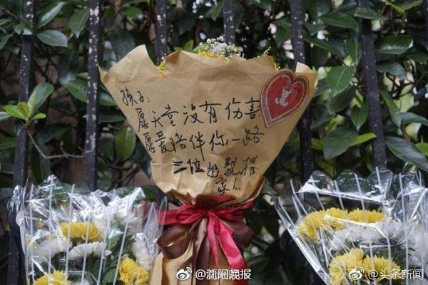 TA：23岁布莱顿后卫埃兰